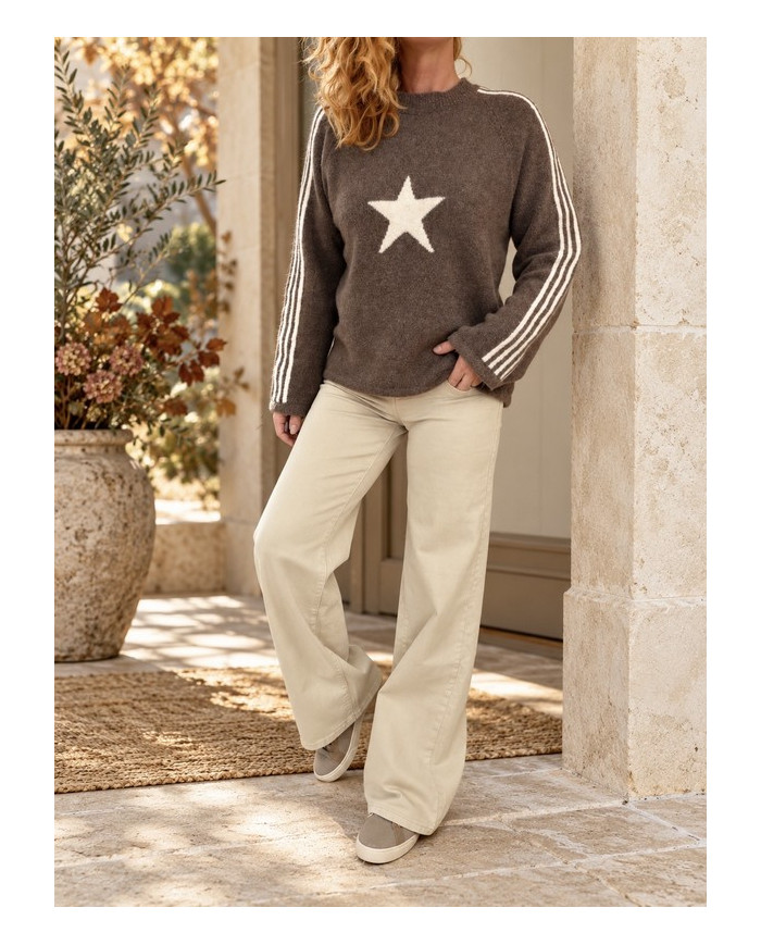 Pull chaud taupe avec étoile écru