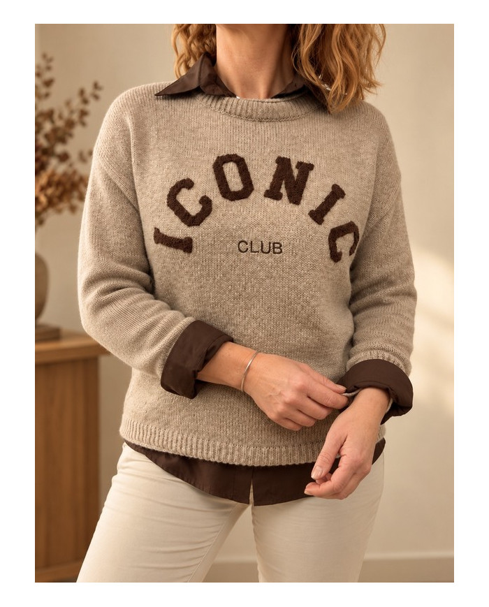 Pull taupe "Iconic"